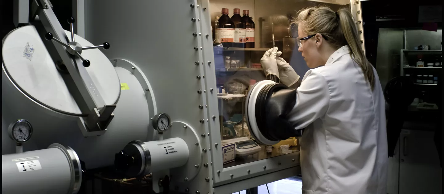 Student working in lab