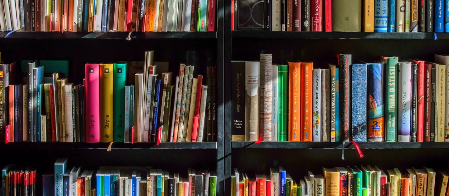 Image shows books stacked in a book shelf