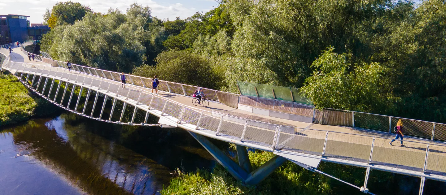 Living bridge with sunshine and clear skies