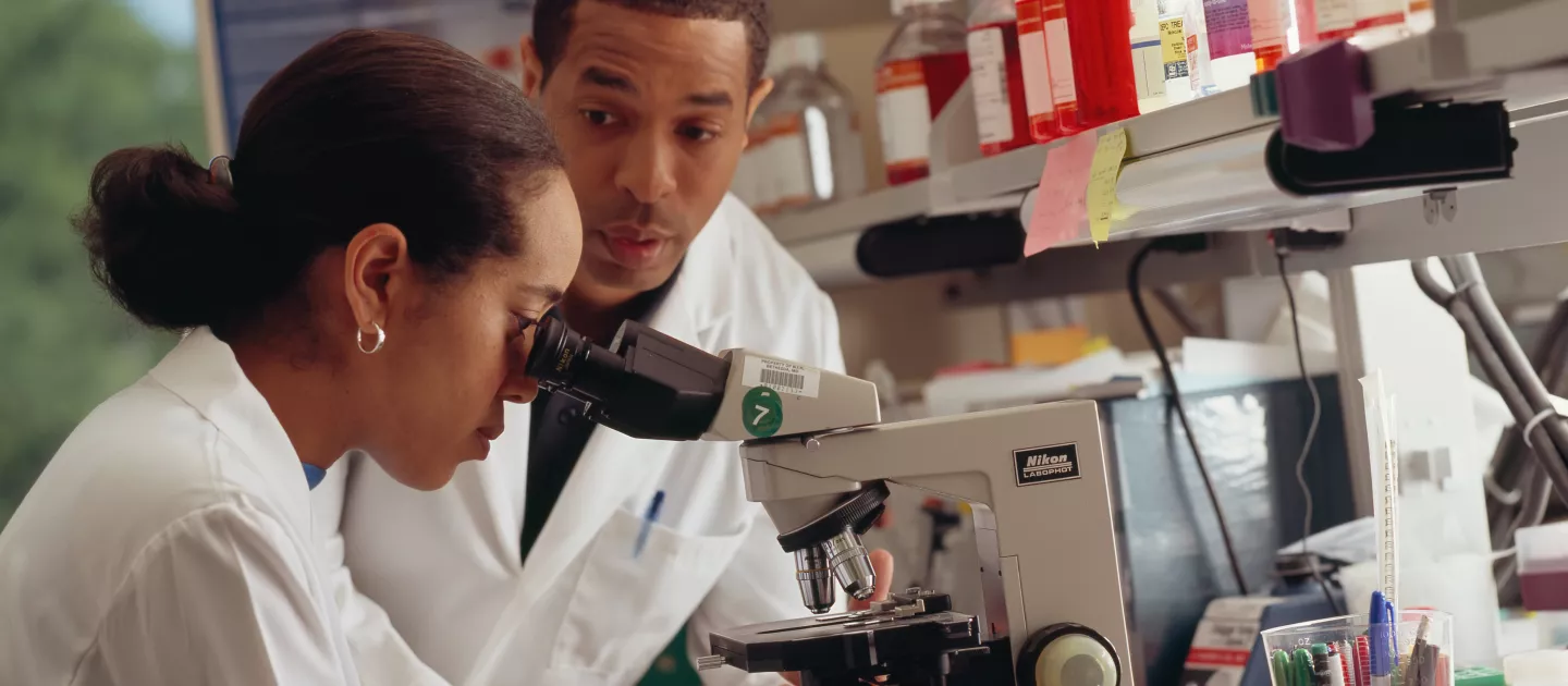 Researchers working in a lab