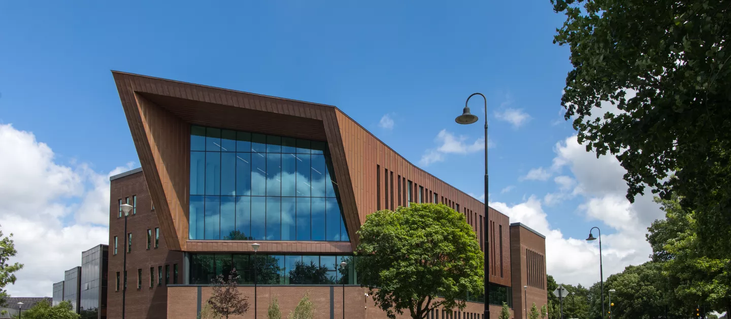 the glucksman library