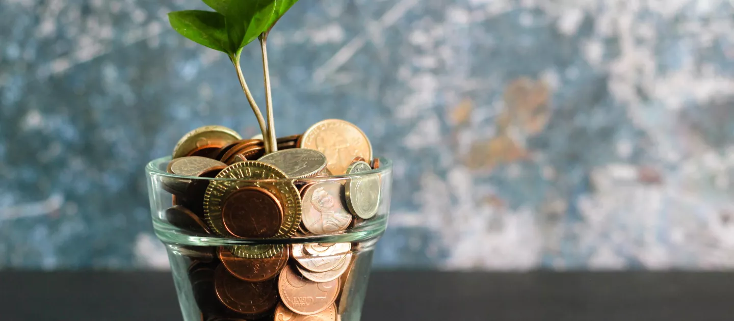 photo of coins in a glass jar with plant