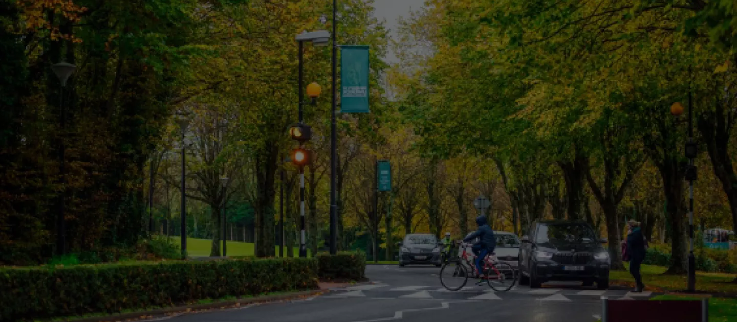 Front Entrance road at UL