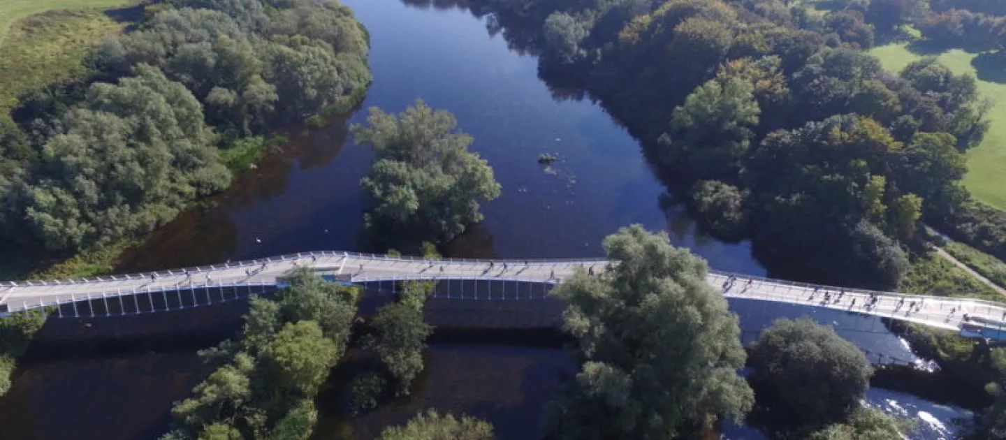 Living Bridge