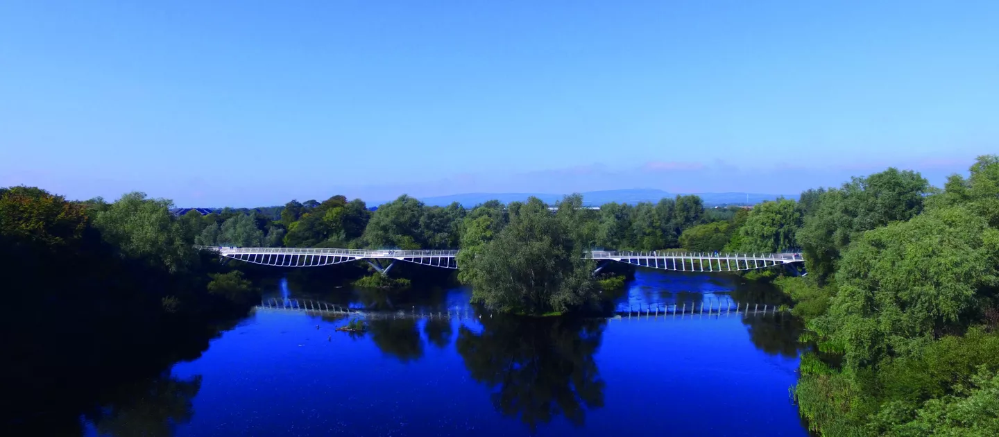 Living Bridge