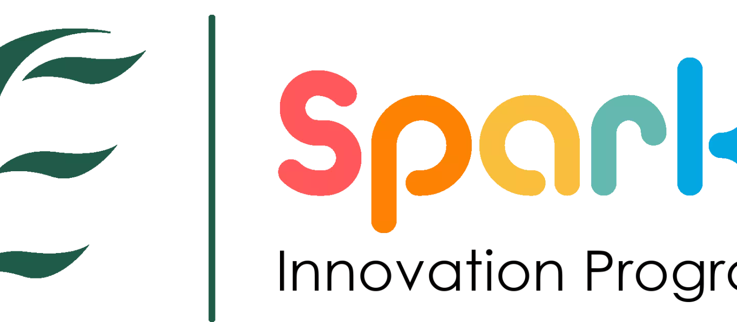 HSE SPARK LOGO 