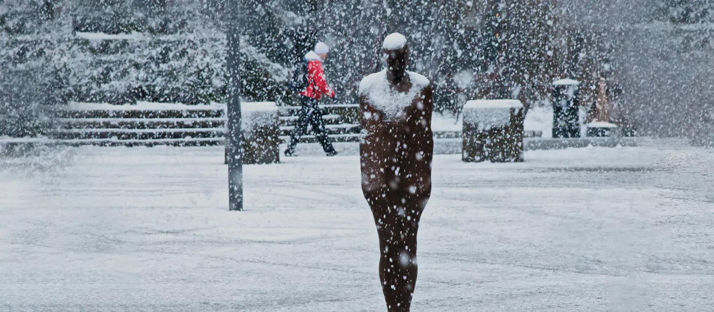 brown thomas statue in the snow