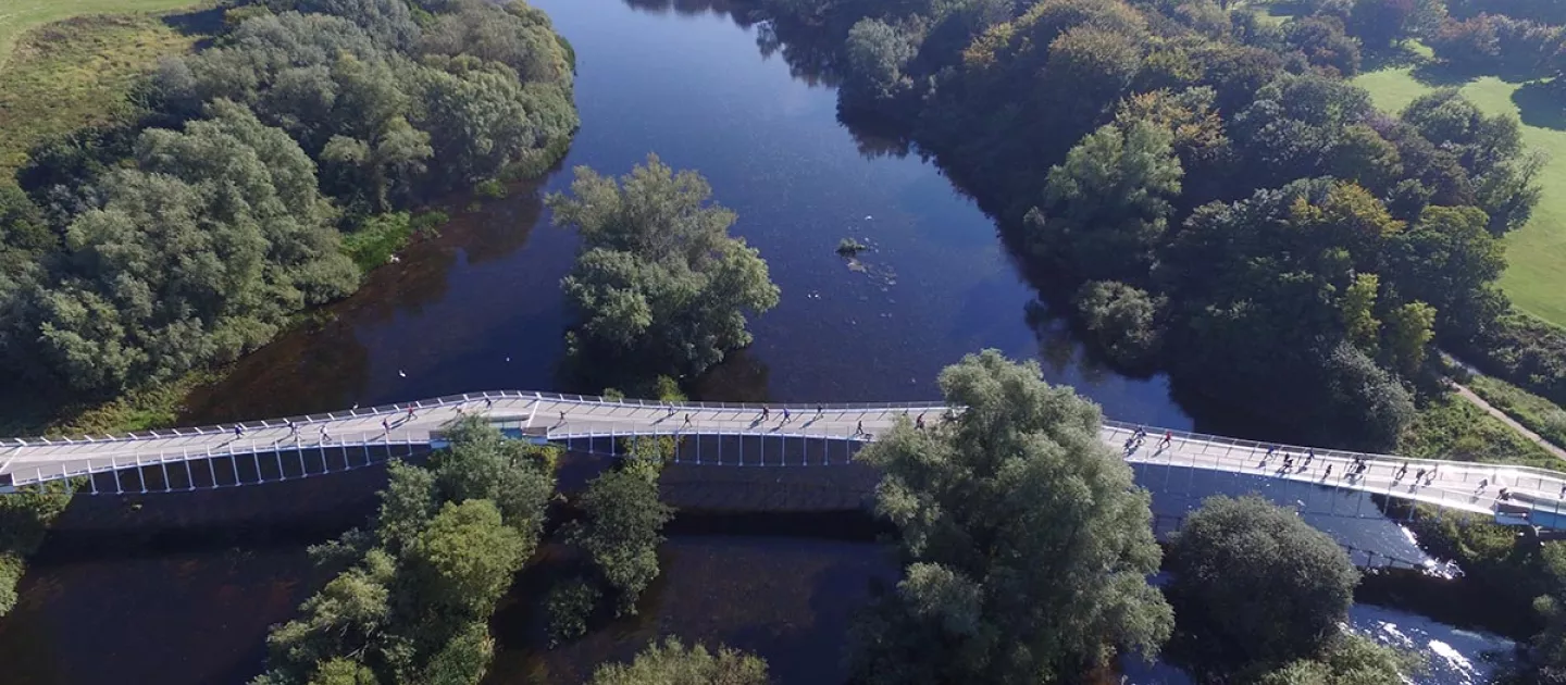 aerial photo of living bridge