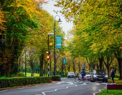 Campus main entrance drive lined by trees