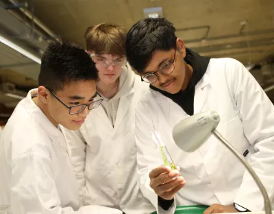 A picture of three leaving cert students performing an experiment in UL