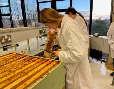 UL-Beekeeping-Course