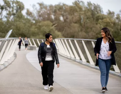 students walking and chatting as they cross the Living Bridge