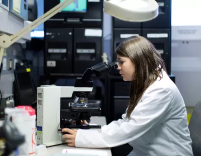 Student using microscope