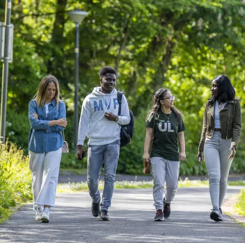 three students walking through forest