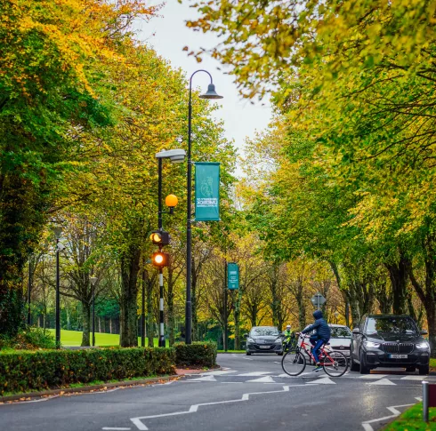 view of UL campus entrance