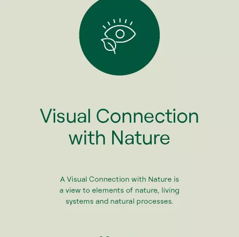 Cover image of the Biophilic Design toolkit 