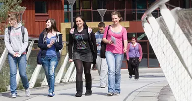 4 students walking across the living bridge