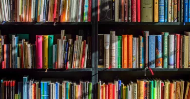 Image shows books stacked in a book shelf