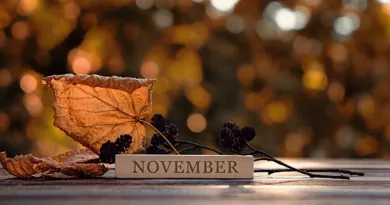 November