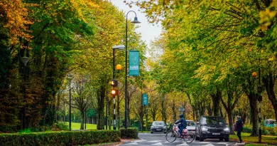 Campus main entrance drive lined by trees