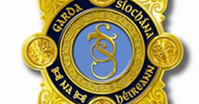 An Garda Síochána logo