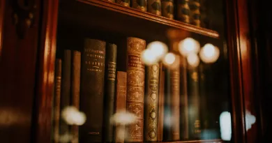 shot of books on a library shelf