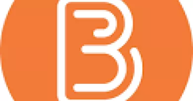 Brightspace logo