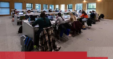 Students sitting at their desks studying