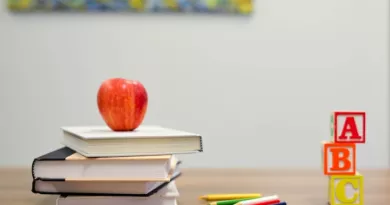 books stacked with an apple on top, and ABC blocks on the right hand side