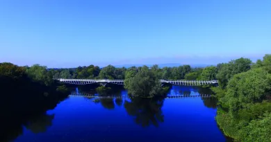 Living Bridge