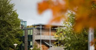 UL language building with autumn leaves