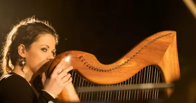 Musician playing harp