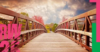 Research Week poster showing a wooden bridge over a stream 