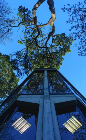 looking upwards with building and sky in view