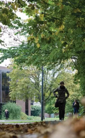 the university of limerick campus