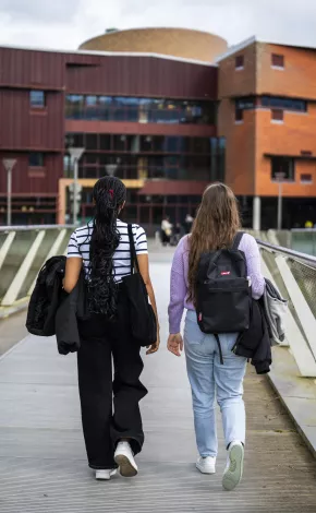 2 students walking away from the camera on the living bridge