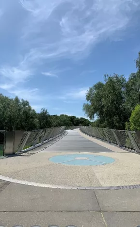 Bridge with trees along each side