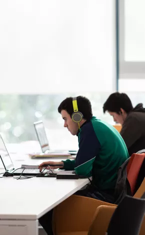 Students working on laptops in the Glucksman Library