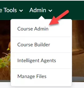 Screenshot of Admin option on the navbar showing the Course Admin dropdown