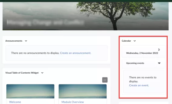 Screenshot of the Calendar widget on the Brightspace homepage