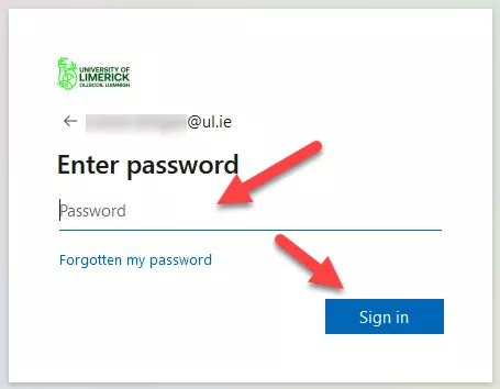 Password window