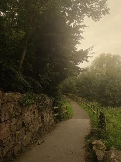 UL campus to Limerick city path