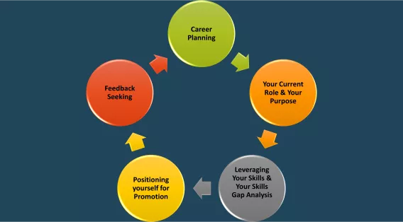 Career Development Wheel. Outlining Learning Outcomes. Career Planning, Your Purpose, leverage your skills, positioning yourself for promotion , Feedback seeking