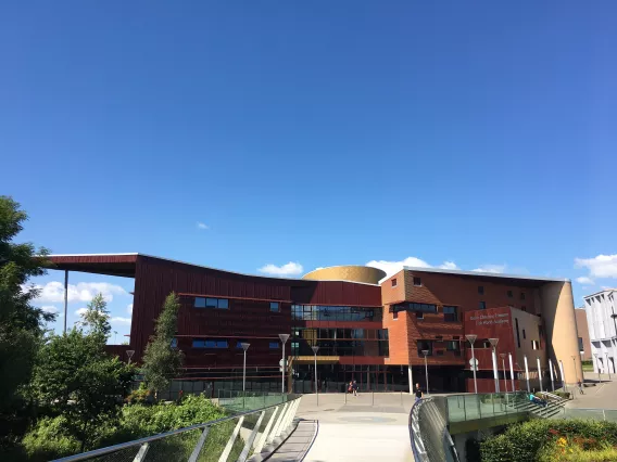 The living bridge leading to the Irish World Academy