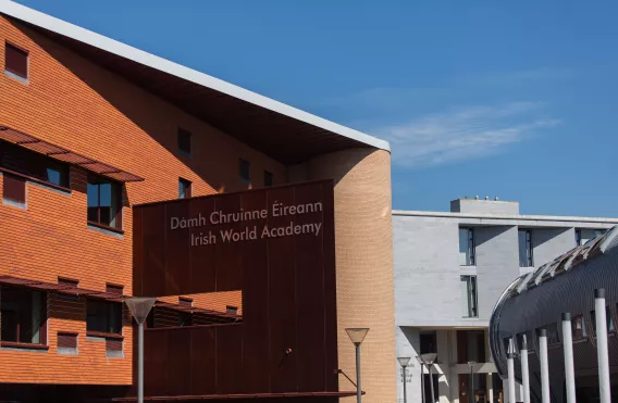 The Irish World Academy 