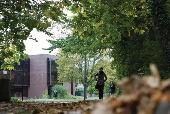 campus on an autumn day