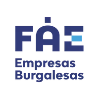 FAE Logo