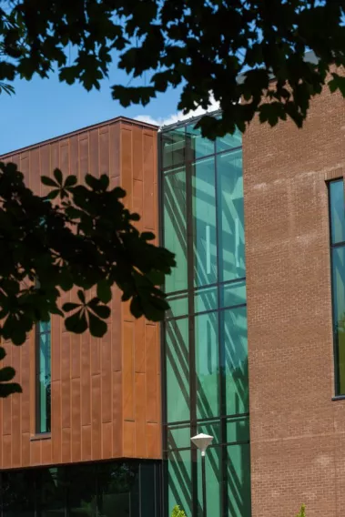 the glucksman library windows on a sunny day