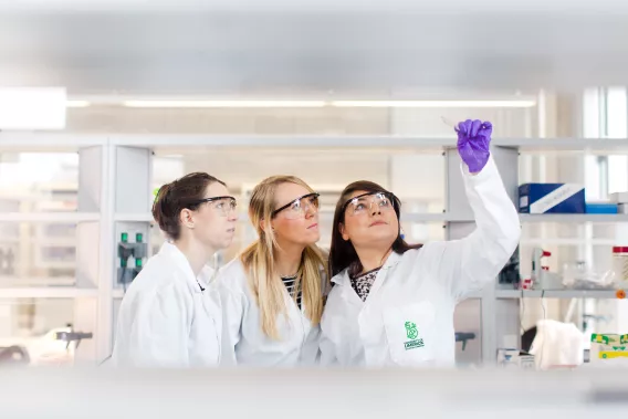 Medical Students looking at a sample in a lab