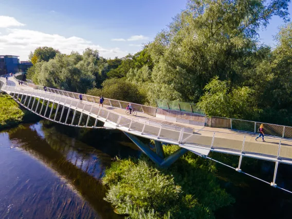 People walking across the living bridge